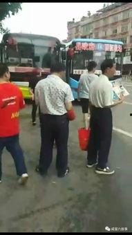 现场吃瓜群众大连,吃瓜群众的热闹现场揭秘