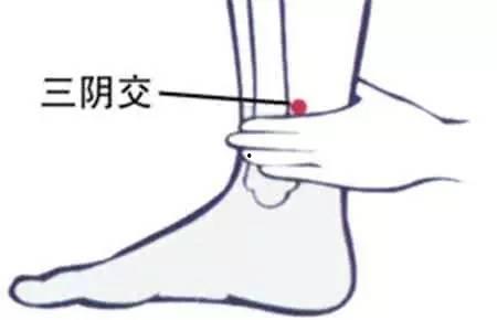 吃赖瓜就腹痛,揭秘食用赖瓜后的不适原因