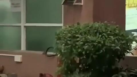 禹州吃瓜新闻视频,揭秘当地热门事件背后的真相