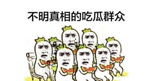 吃瓜群众叔叔小说,揭秘娱乐圈背后的秘密