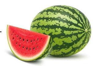 吃瓜防晒,轻松度过炎炎夏日