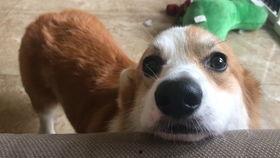 bubble吃瓜,揭秘娱乐圈的甜蜜与苦涩