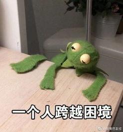 咸鱼吃瓜,揭秘网络热点的幕后故事