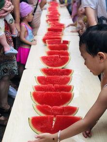 我是吃瓜小能手,揭秘娱乐圈幕后故事