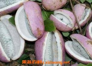 八月瓜孕妇可以吃吗,营养与安全解析