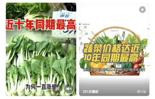 到处吃瓜最后自己成瓜了,从吃瓜群众到瓜田主角的奇妙转变