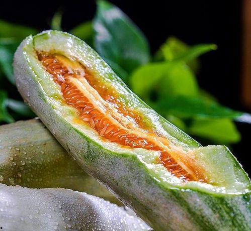 吃瓜只吃头茬,尽享美味时光