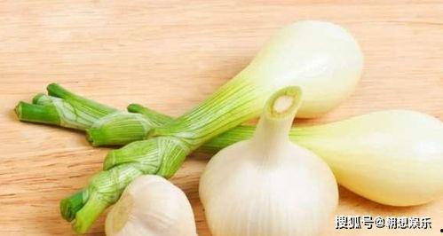 南方人吃蒲瓜,蒲瓜美食之旅